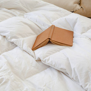 Winter Duck Feather Down Quilt
