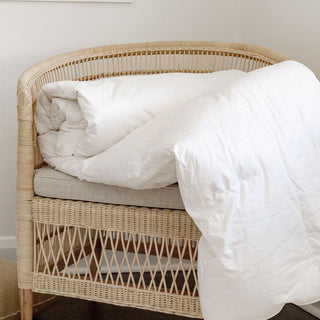 Winter Duck Feather Down Quilt