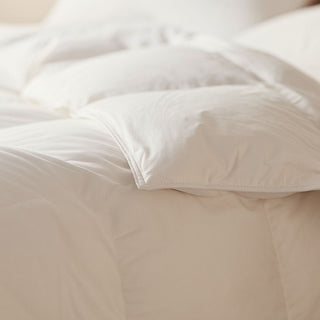 Winter Duck Feather Down Quilt