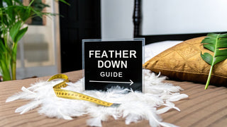 Your Ultimate Guide to Choosing the Perfect Doona Feather Down