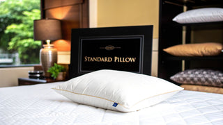What Is a Standard Size Pillow? Your Complete Guide