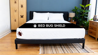 Do Mattress Protectors Stop Bed Bugs? A Guide to mattress protectors bed bugs